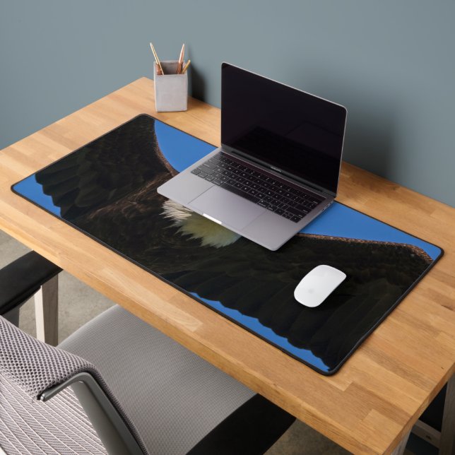 Pygargue à tête blanche en survol de près (Bureau 2)