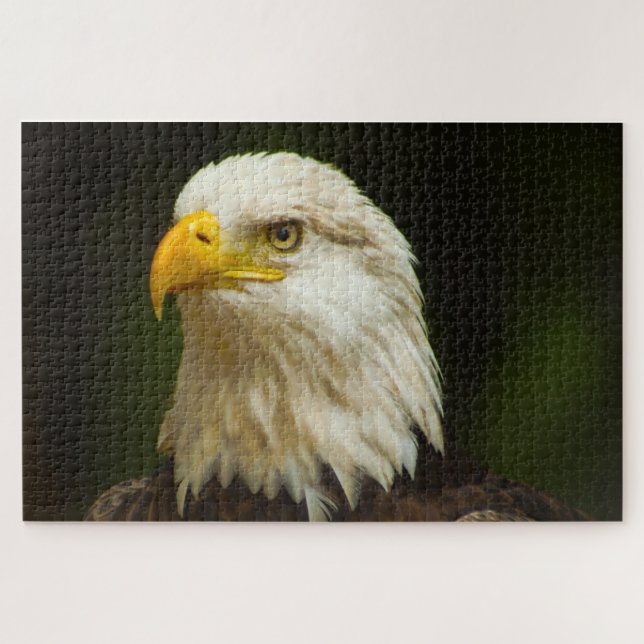 Pygargue à tête blanche Oiseau de Proie. Puzzle (Horizontal)