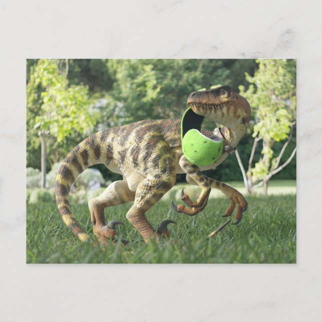 PygmyPets Raptor 3D - Carte Postale (Devant)