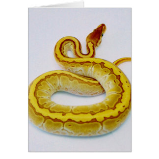 Python jaune de boule de la lettre "S"