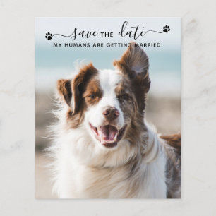 QR Code Chien Mariage Photo Animaux de Compagnie E