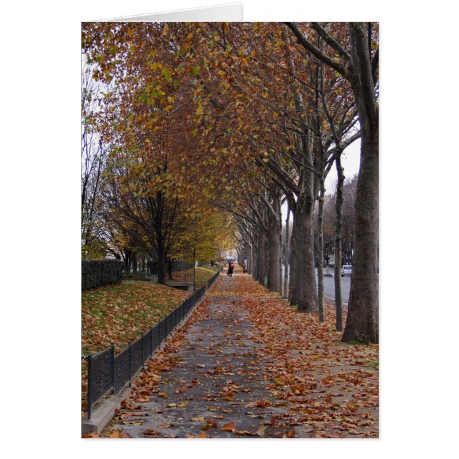 Quai d'Orsay (Devant)