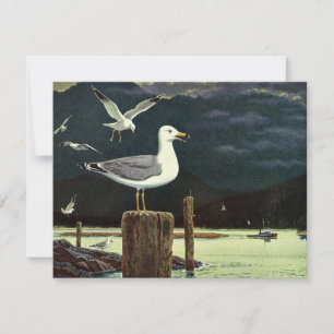 Quai Perché de Mouette vintage, Oiseaux marins Ani