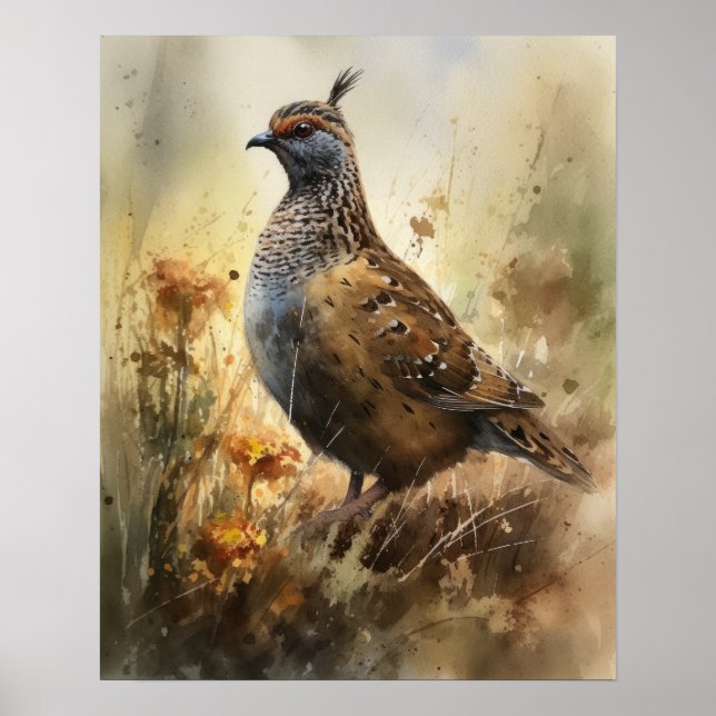 Quail Farm Animal Art Imprimer Poster (Devant)