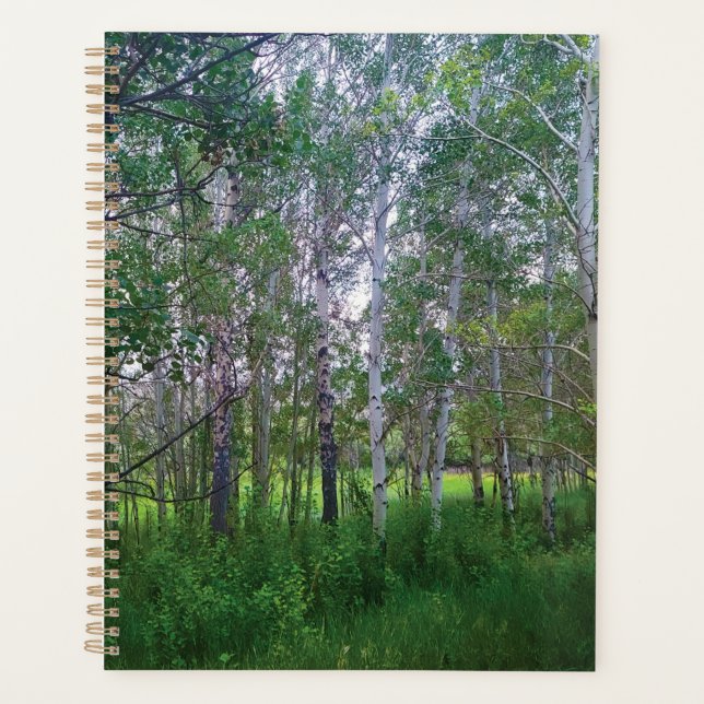 Quakies Planner (Devant)