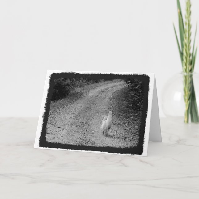 Quand c'est le temps Carte de Sympathie (Devant)