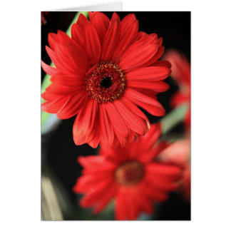 Quand j'ai eu une liaison