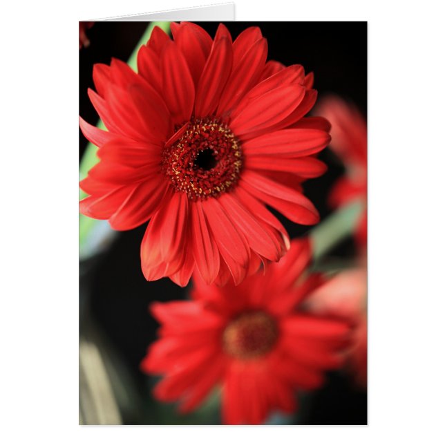 Quand j'ai eu une liaison (Devant)