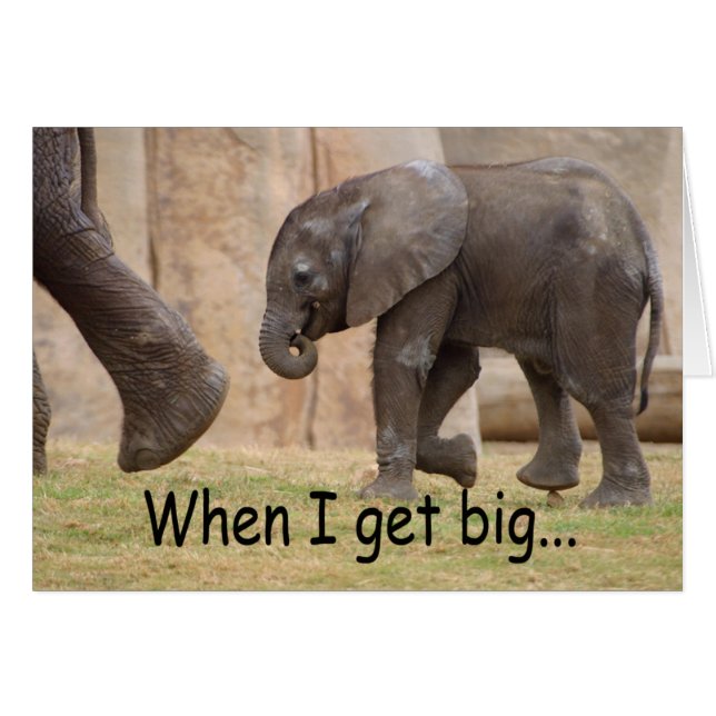 Quand je deviens grand… (Devant horizontal)