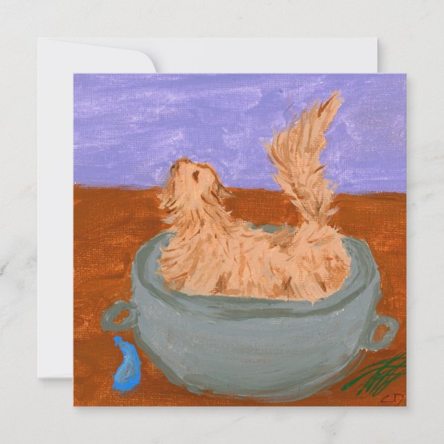 Quand les cuisines ne regardent pas (Devant)