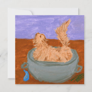 Quand les cuisines ne regardent pas