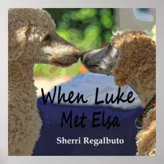 Quand Luke a rencontré Elsa Poster