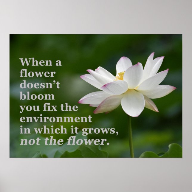 Quand une affiche de fleur ne fleurit pas (Devant)