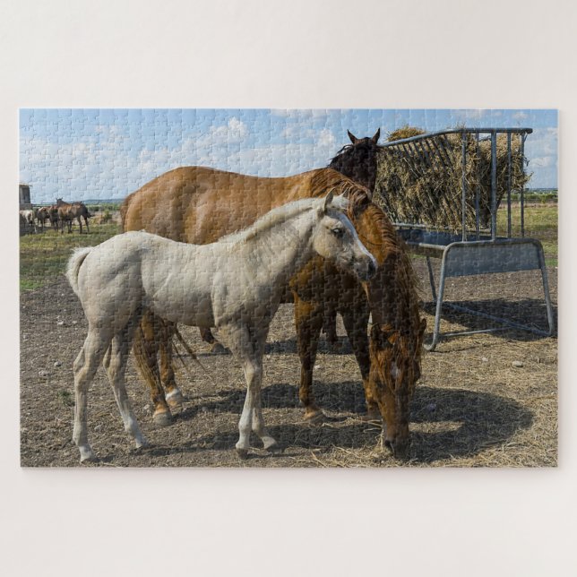 Quarter Horses Texas. Jigsaw Puzzle (Horizontal)