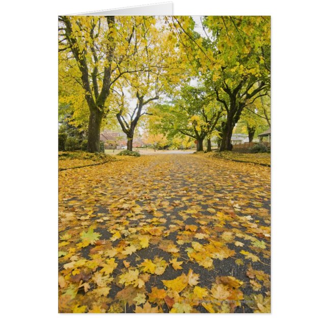 Quartier Est En Automne (Devant)