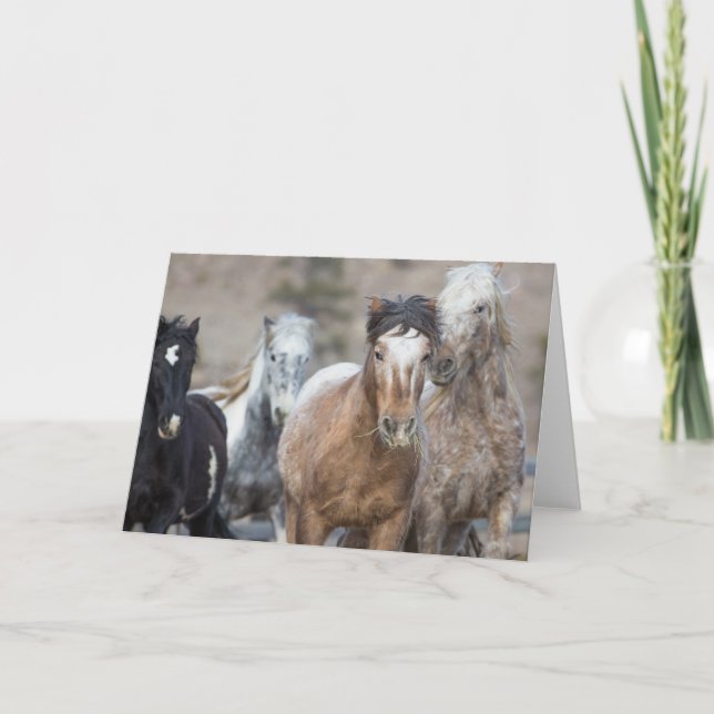 Quatre Adobes - Carte de voeux pour la liberté (Devant)