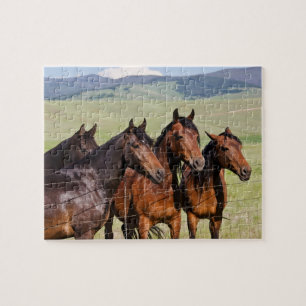 Quatre beaux chevaux - 110 pièces Jigsaw Puzzle