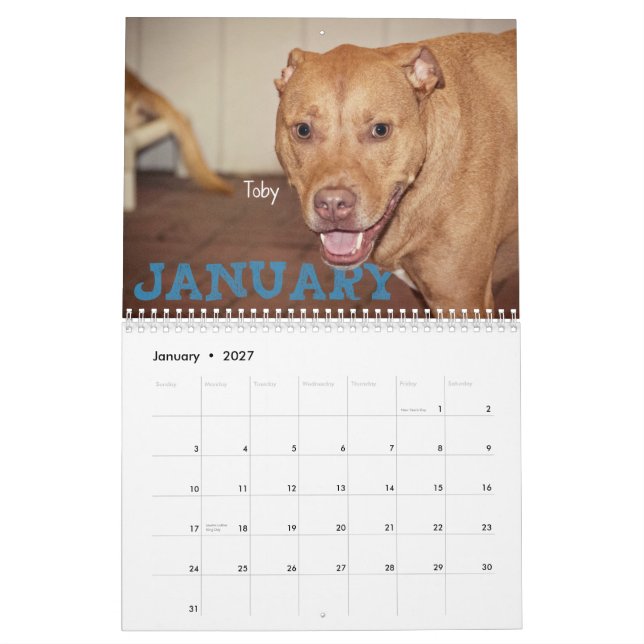Quatre calendrier des pattes 2014 (Jan 2027)