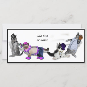 Quatre Chatons En Jeu