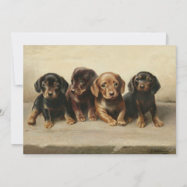 Quatre Chipons Dachshund | Carl Reichert (Devant)