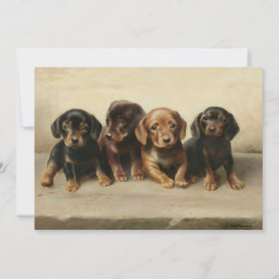 Quatre Chipons Dachshund Carl Reichert