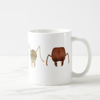 Quatre fourmis sur une tasse