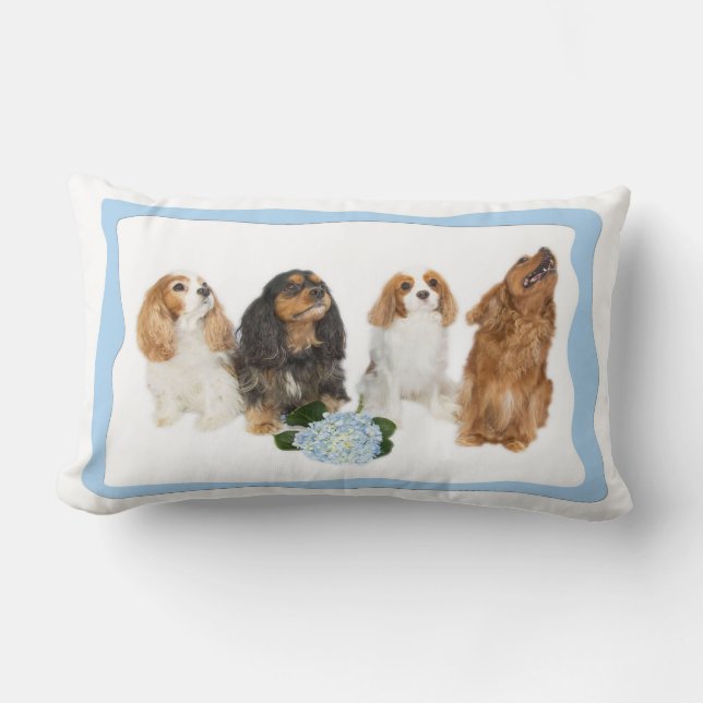 Quatre oreillers lombaires Cavalier King Charles S (Recto)