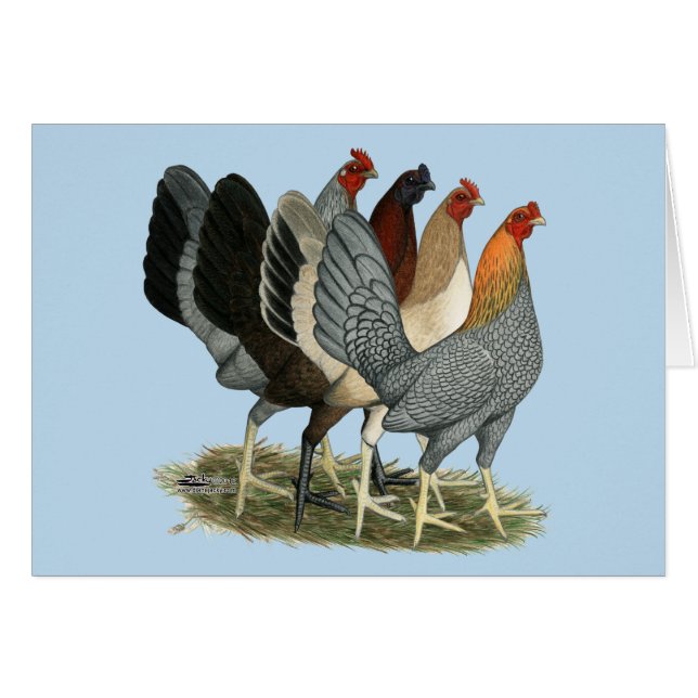 Quatre poules de combat (Devant Horizontal)
