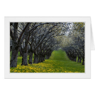 quatre saisons au michigan carte 02