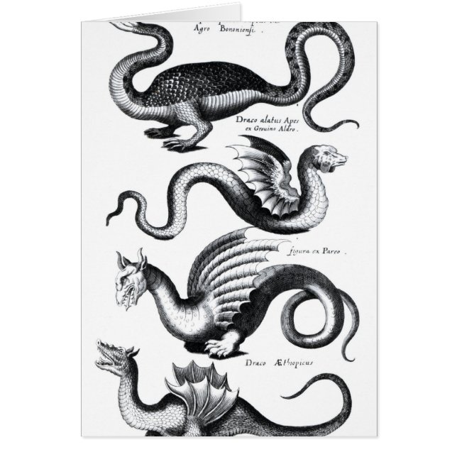 Quatre types de dragon (Devant)