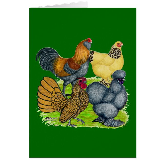 Quatuor Bantam (Devant)