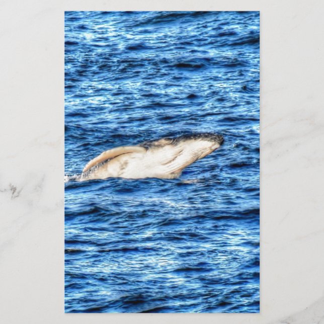 QUEENSLAND DE BALEINE HUMBACK AUSTRALIE (Devant)