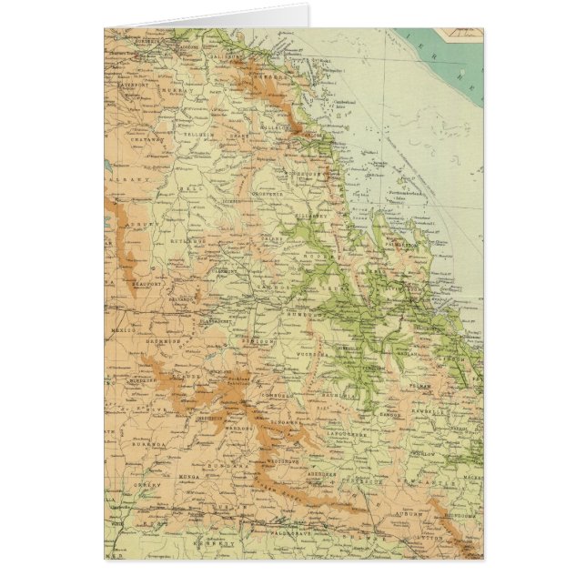 Queensland oriental (Devant)