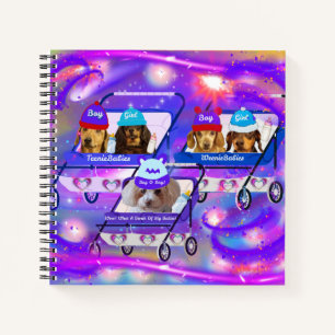 Quel Carnet De Gros Bébés