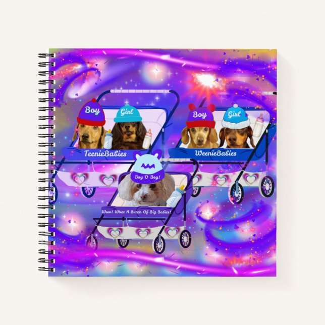 Quel Carnet De Gros Bébés (Devant)