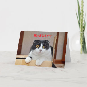 QUEL ? ? ? ? CARTE D'ANNIVERSAIRE BATTUE