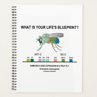 Quel est le plan directeur de votre vie ? Biologie