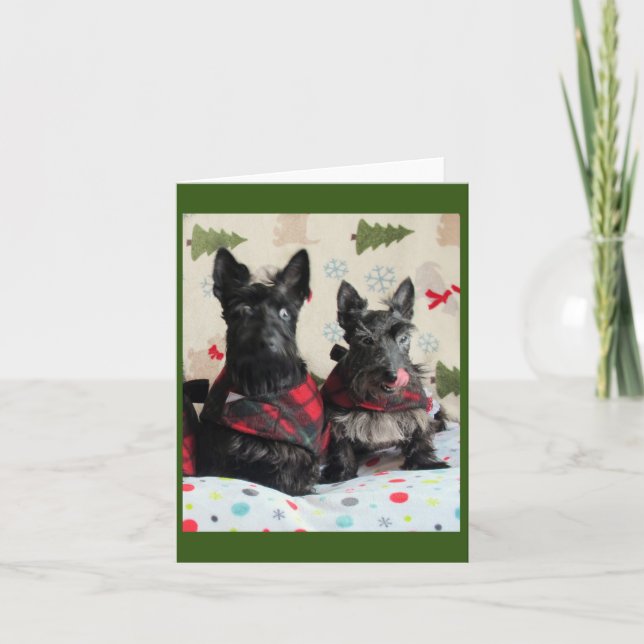 Quelle carte de renne ? (Devant)