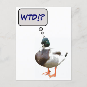 Quelle Carte Postale Duck WTD Funny