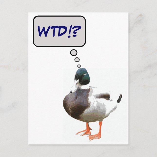 Quelle Carte Postale Duck WTD Funny (Devant)