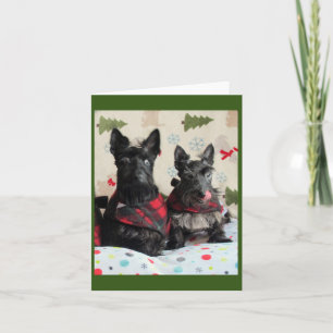 Quelle renne ? Carte