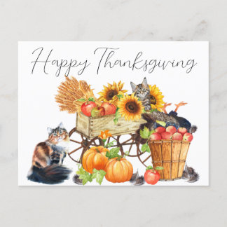 Quelle Turquie ? Carte postale Innocent Cats Thank