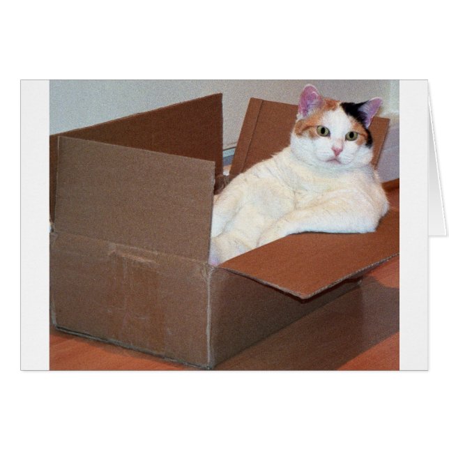 "Quelqu'un a-t-il vu mes ombres ?" (Devant horizontal)