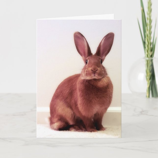 "Qu'est-ce que l'hoppenin ?" Carte (Devant)