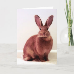 "Qu'est-ce que l'hoppenin ?" Carte