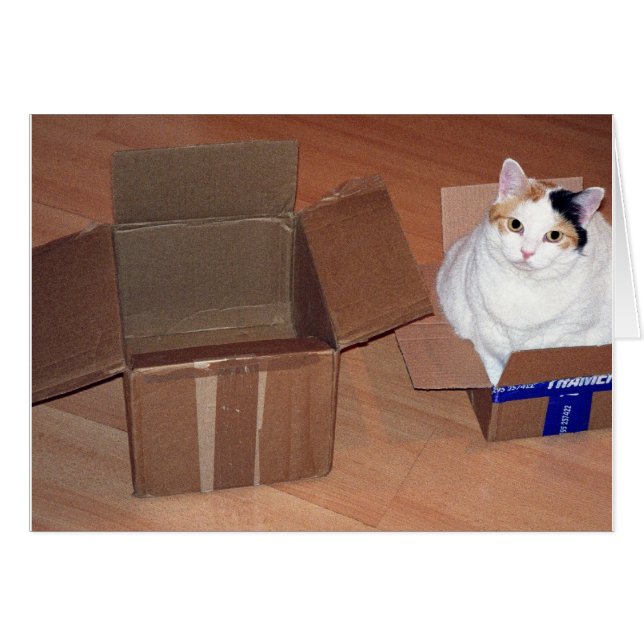 Qu'est-ce que tu veux dire que j'ai besoin d'une p (Devant horizontal)