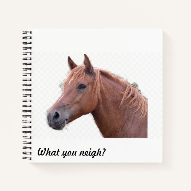 Qu'est-ce que vous hennissez ? Cahier de l'amoureu (Devant)