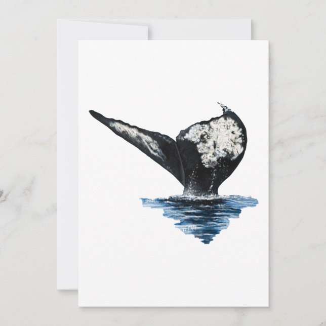 Queue de baleine (Devant)
