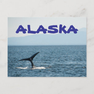 Queue de baleine Pittoresque Alaska Carte postale