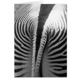Queue de Zebra